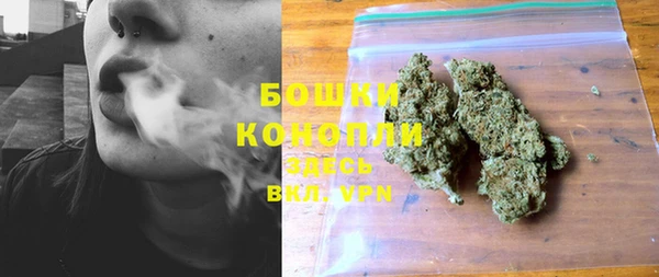 2c-b Лагань