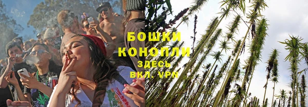 прущие крисы Ладушкин