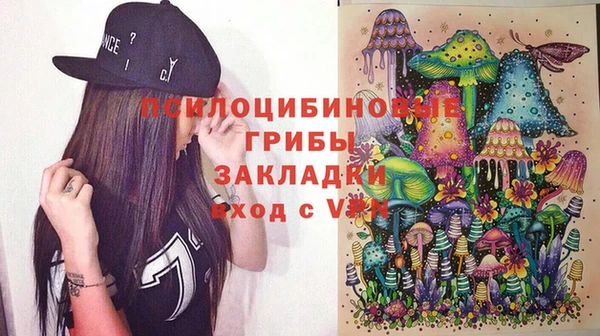 2c-b Лагань
