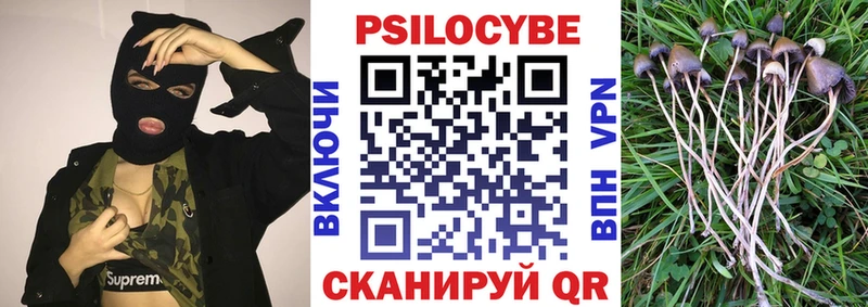 ссылка на мегу tor  купить  цена  Зарайск  Галлюциногенные грибы мухоморы 
